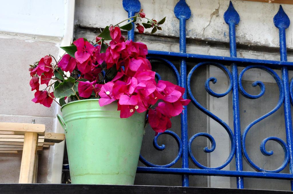 Apartmán Cozy Garden Jeruzalém Exteriér fotografie