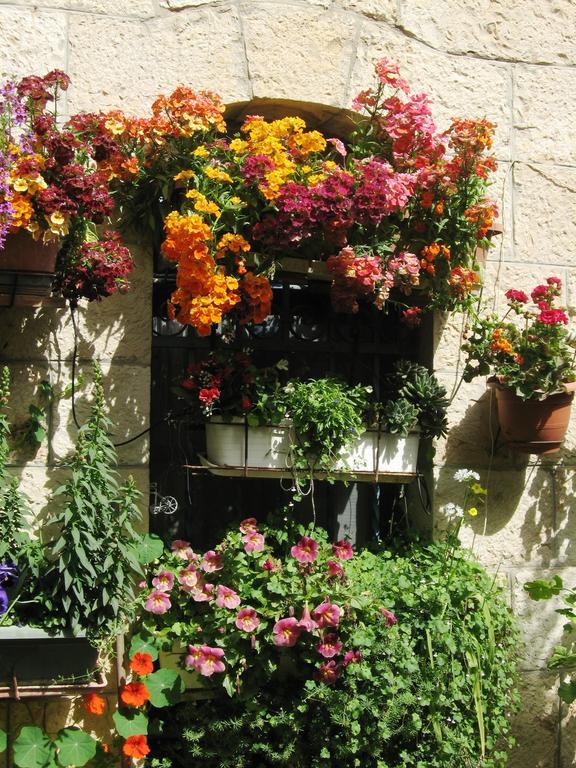 Apartmán Cozy Garden Jeruzalém Exteriér fotografie