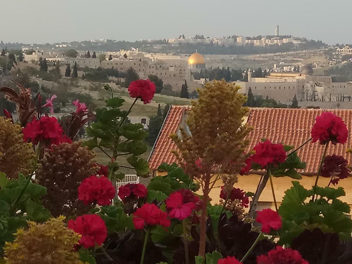 Apartmán Cozy Garden Jeruzalém Exteriér fotografie